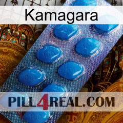 Kamagara viagra1